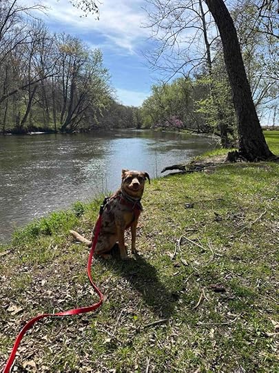 Germany Bridge County Park