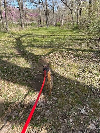 Germany Bridge County Park