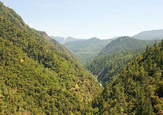 six rivers nationa forest view