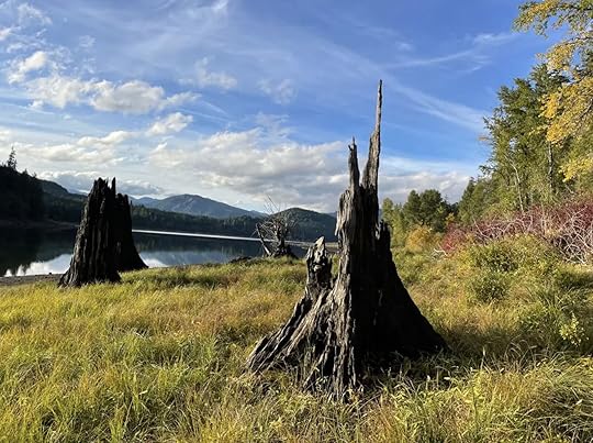 Sasquatch sightings at bigfoot campgrounds - merrill lake WA