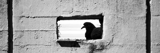 Recensione di Cuore nero di Silvia Avallone