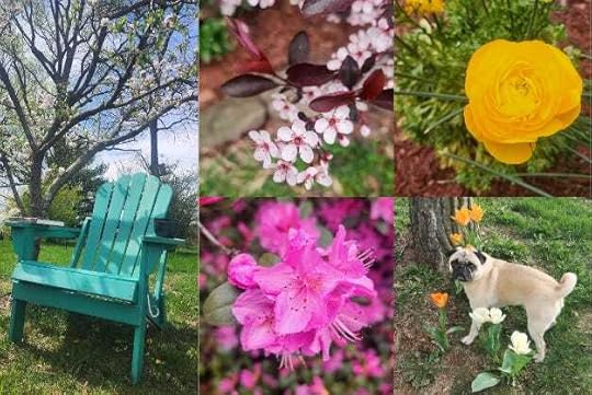 Blue chair by a tree, flower, and a pug