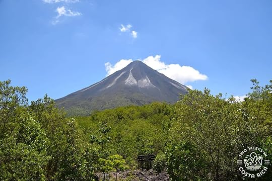 cone shaped volcano with thick bushes in the foreground