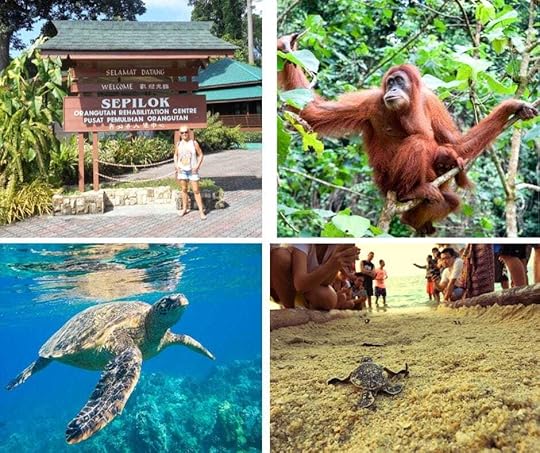 The Backpacking Housewife - Why not combine travel with purpose by volunteering overseas?