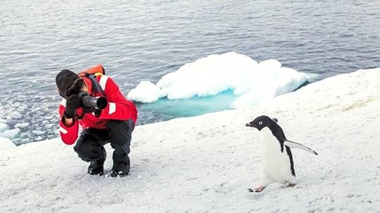 Antarctica Adventure Travel - What’s on your wildlife travel adventure wish list?