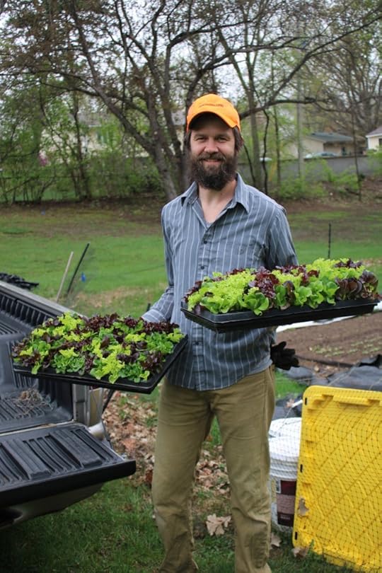 Farmer holding trays of lettuce starts ready to be transplanted