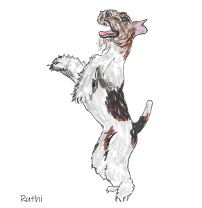 tail-wagging free-thinking terrier