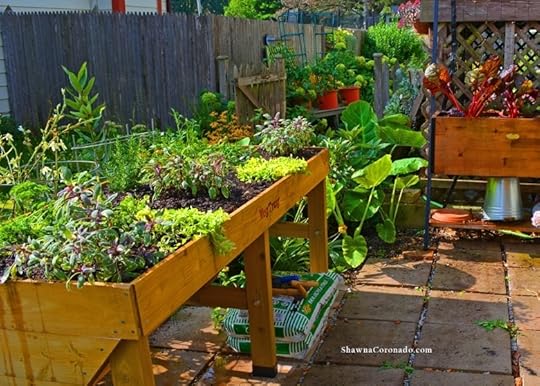 Herb Garden Elevated Bed