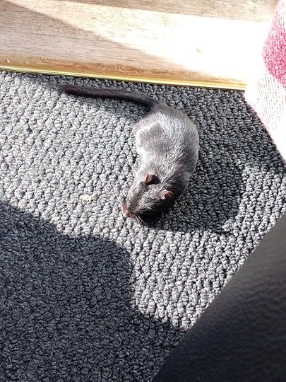 img_20250430_173805722883537124555044