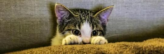 Recensione di La gatta ha visto tutto di Dolores Hitchens