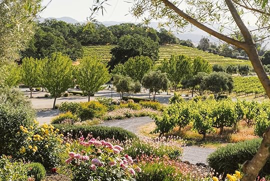 Francis Ford Coppola Winery grounds