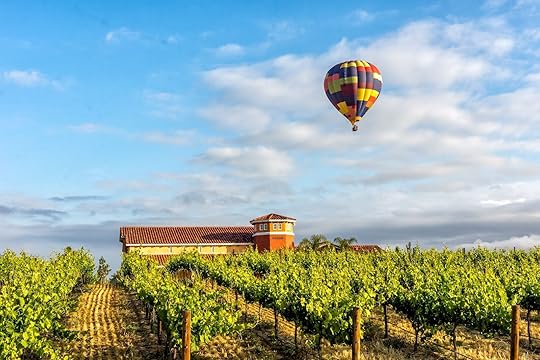 Hot air balloon in Temecula Wine Country Southern California