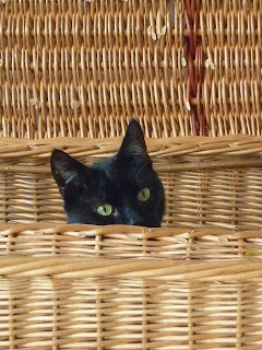 Panzer says, I'm looking for something else for you.