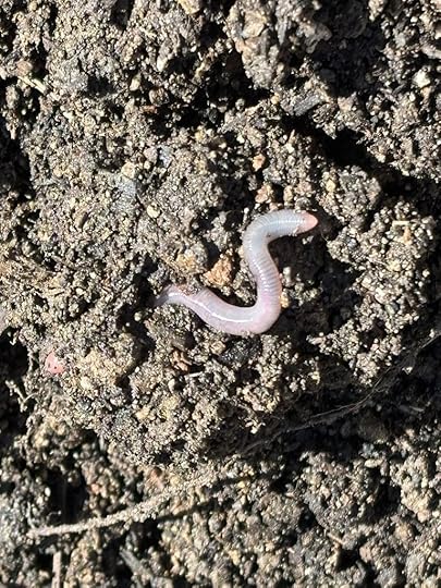 Worms of faith love the rich soil