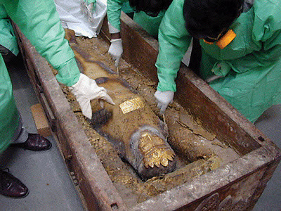 The Persian Mummy (science.org)