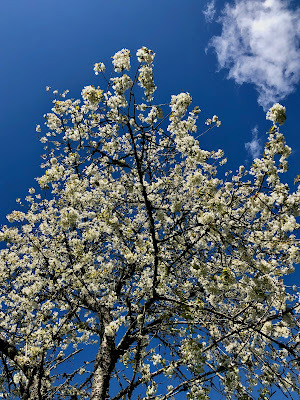May - Nanne Nyander . se