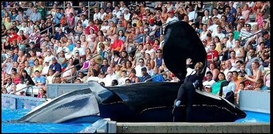 462656827-3462000393944529-7947909625448942993-n