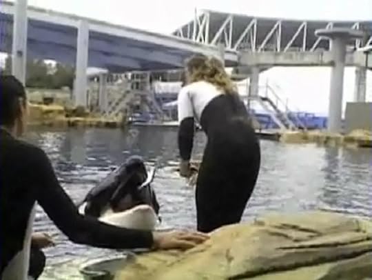 100301-seaworld-hmed-4p