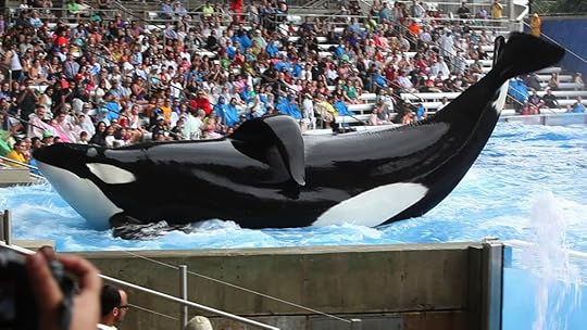 tilikum