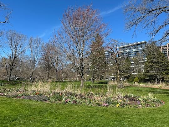 Flower bed, trees, blue sky