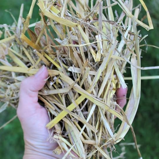 handful of straw