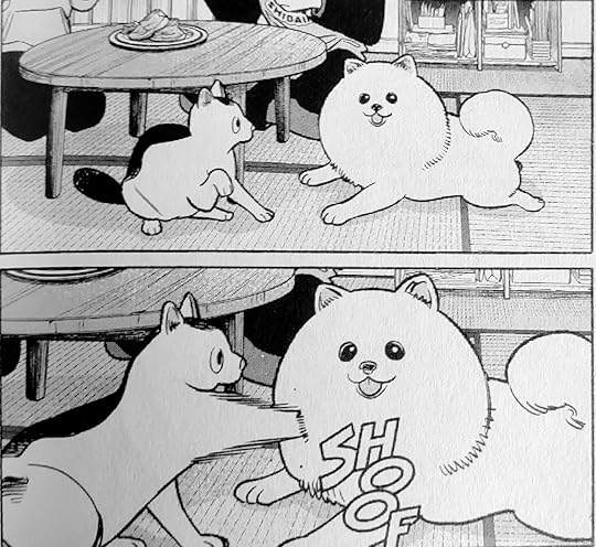 panel 1: cat looks skeptically at a fluffy Pomeranian, panel 2: cat punches the Pomeranian with a 'SHOOF' sound effect as the cat's paw punches only fluff, the Pomeranian oblivious