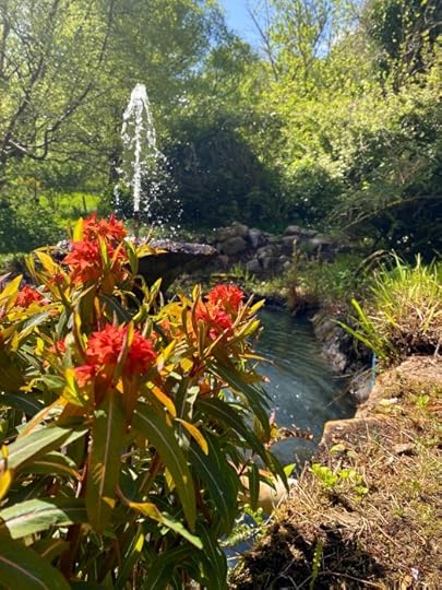 fire and elephants by the pond