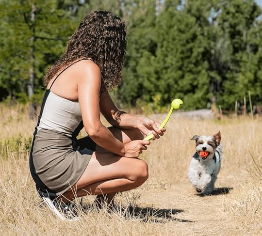 chuck it ball launcher