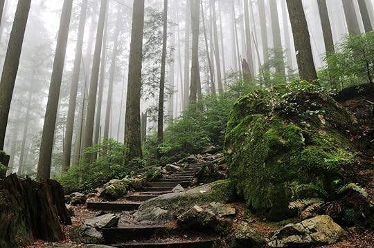 vancouver world cup activities - grouse grind