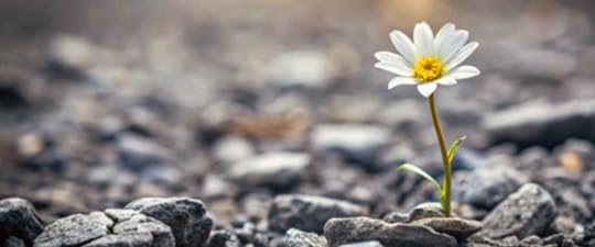lone flower growing amid barren rocks