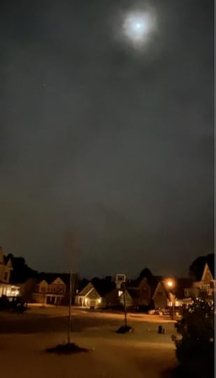 Weather outside is frightful but our southern snow daze is delightful ya'll ~ catmichaelswriter.com