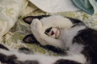 Turn off that light!