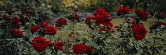 Recensione di La rosa di Provenza di Carol Mcgrath