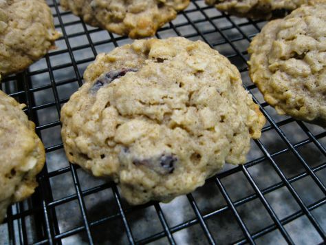 Bready or Not Original: Sourdough Oatmeal Cookies
