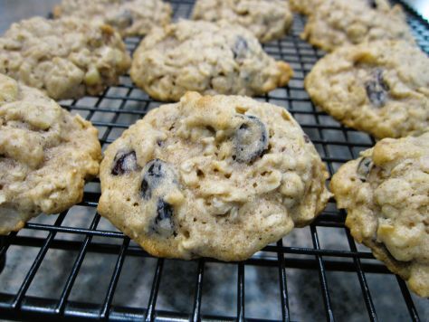 Bready or Not Original: Sourdough Oatmeal Cookies
