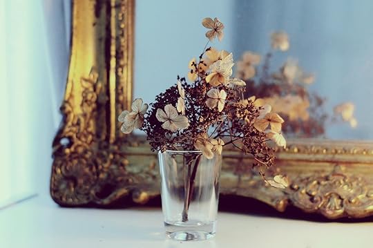 Free Vintage Mirror Dried Flowers photo and picture