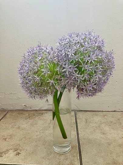 allium flowers -- spiritual writer