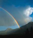 Noahic covenant