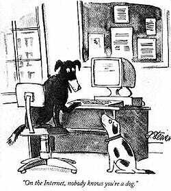 Cartoon of two dogs sitting around a large, old-school computer. A black dog is sitting on the desk chair and speaking to a smaller white dog with big dark patches, staring up from the floor. The caption reads: 