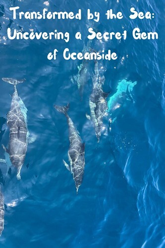 Transformed by the Sea: Uncovering a Secret Gem of Oceanside