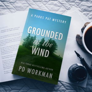 Grounded in the Wind