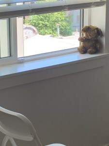 teddy bear on window sill