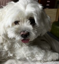June News: Looking Ahead. Picture of Wally