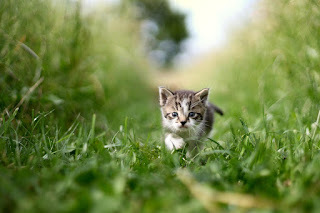 Mom! Where are you?