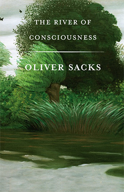 The One Hundred Milliseconds Between the World and You: Oliver Sacks on Perception