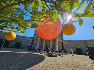 Luke Jerram, Artist’s, Helios at Ickworth. Inflatable orange ball set against a classical portico with gravel and viewers underneath on beanbags spread over beige mottled gravel. The top half of this view is seen through the foliage of an orange tree with a pair of oranges hanging either side, framing the orange ball in the middle. 