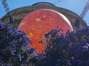 Luke Jerram, Artist’s, Helios at Ickworth. Inflatable orange ball set against a classical portico with an azure sky above. This view is seen looking between a pair of blue flowering bushes (cyanothus) either side, framing the orange ball in the middle.