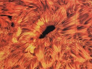 Luke Jerram, Artist’s, Helios at Ickworth. Inflatable orange ball which is printed with a photograph of the sun. Close up to a part where we see a sunspot which looks a bit like an anus. Sorry I’m smutty like that.