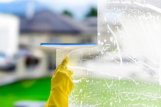 Window Cleaning
