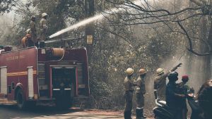 Fire fighters in a forest